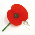 Poppy Day